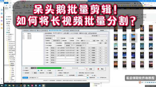 呆头鹅批量剪辑矩阵系统 想知道如何将长视频批量分割