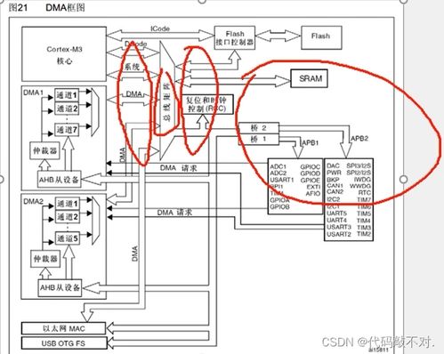 江科大笔记 dma直接存储器存取