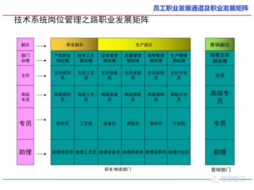 员工职业发展通道及职业发展矩阵详解